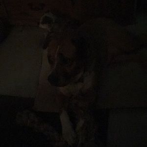 Meet your Posher, Suzanne